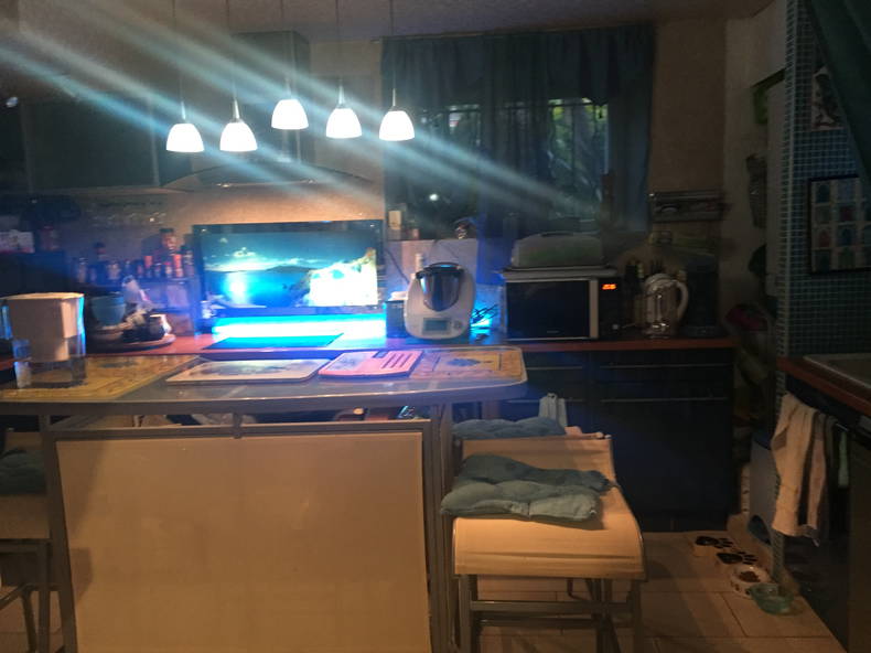 Quedarse En Casa Brest 79874-5