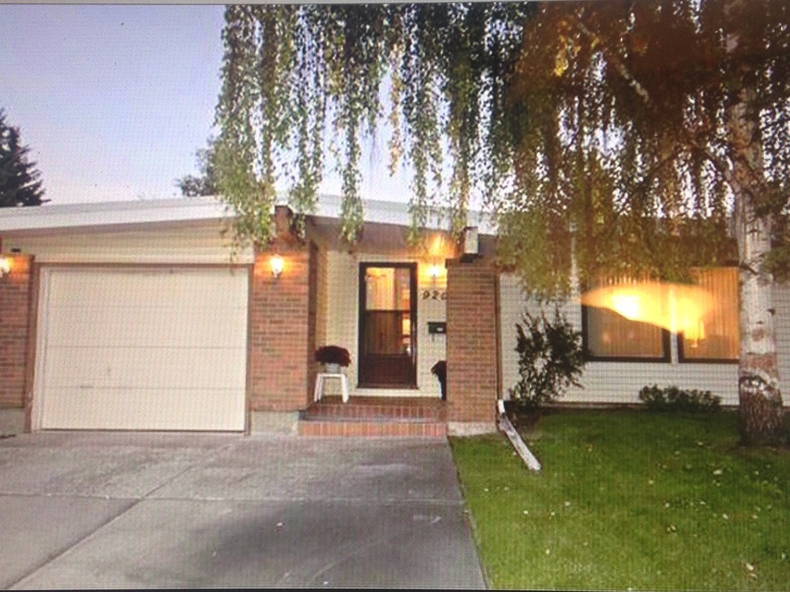 Kolokasie Calgary 119407-1