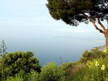 Logement Entier Cap-D'ail 64127-5