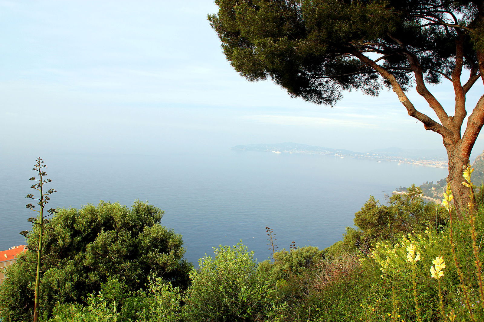 Tutta La Casa Cap-d'Ail 64127