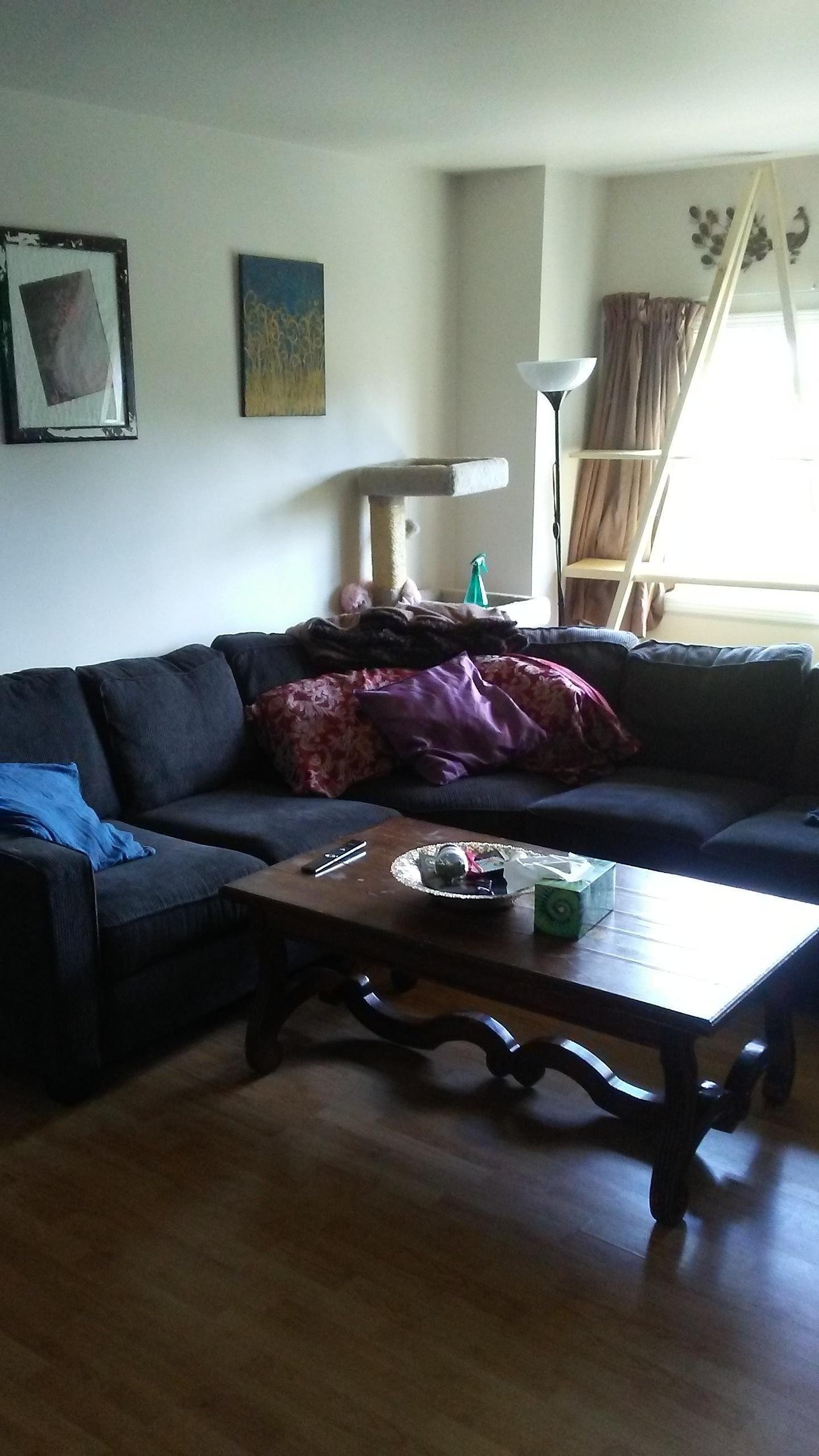 Chambre Chez L'habitant Edmonton 144622