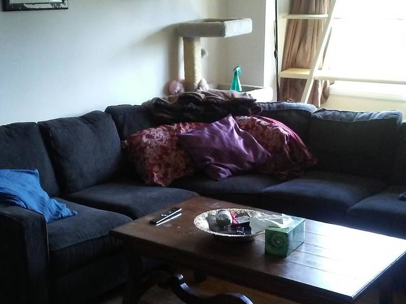 Famiglia Edmonton 144622-1