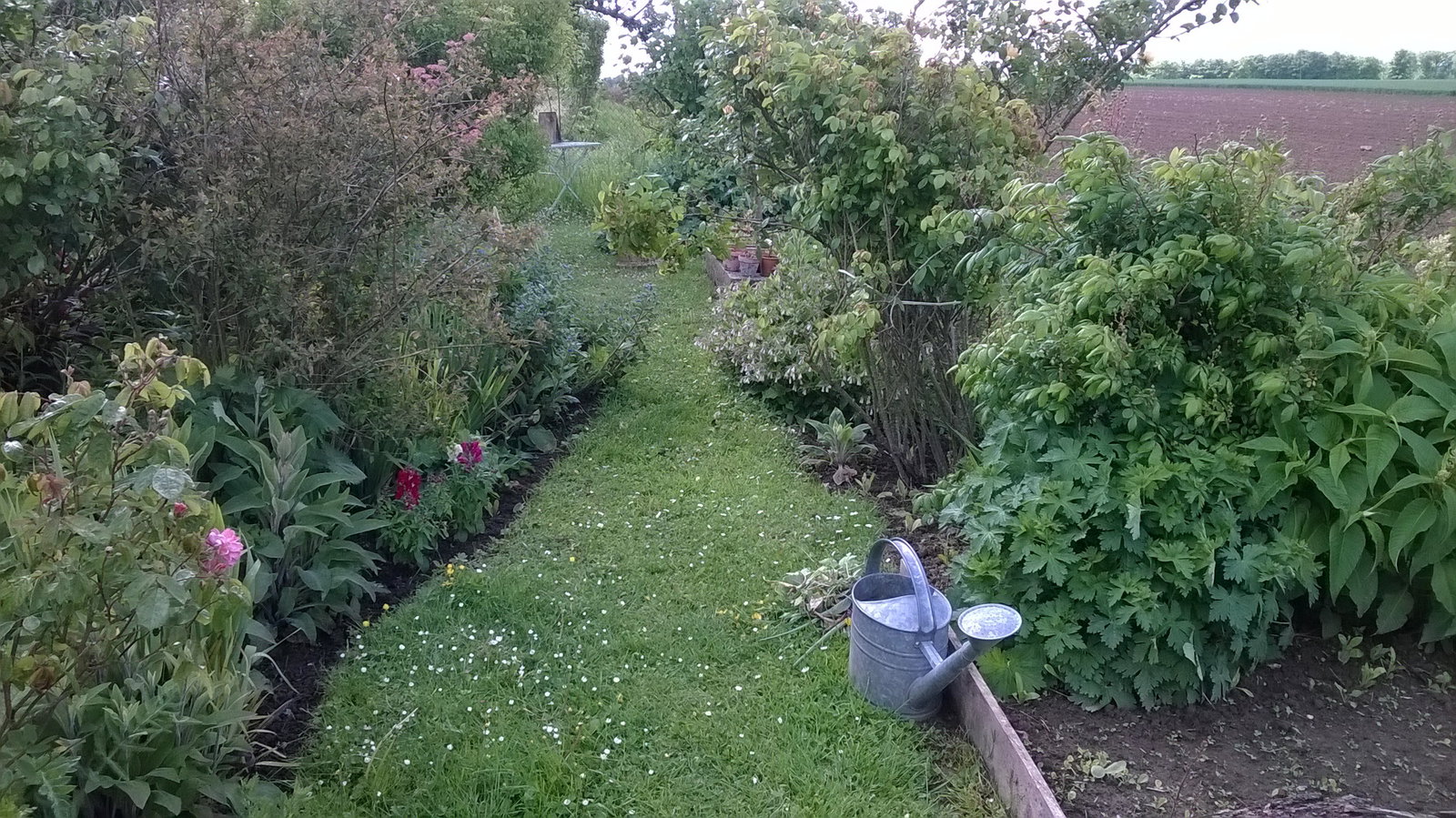 Gaascht Zëmmeren Hautot-l'Auvray 161048