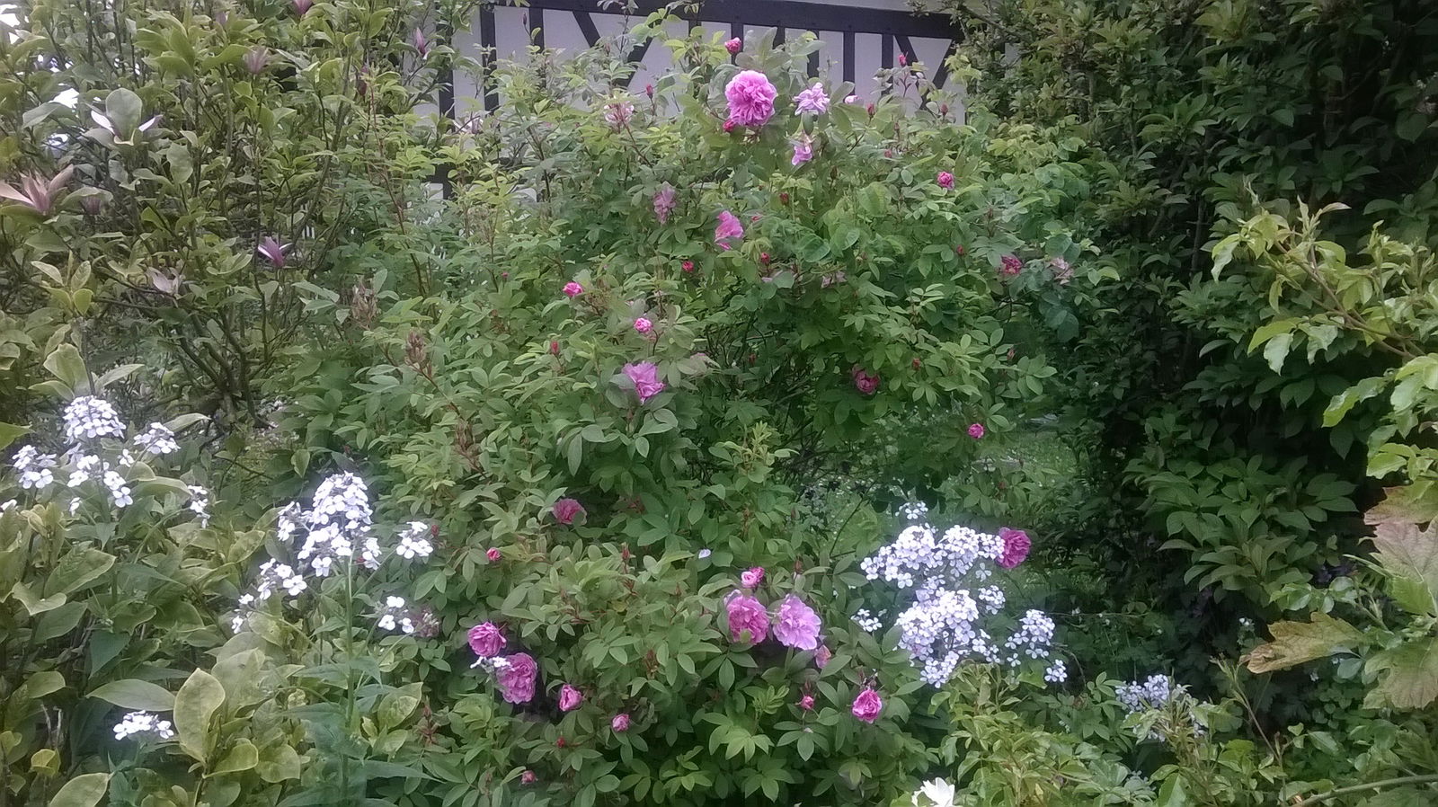 Gastekamers Hautot-l'Auvray 161048