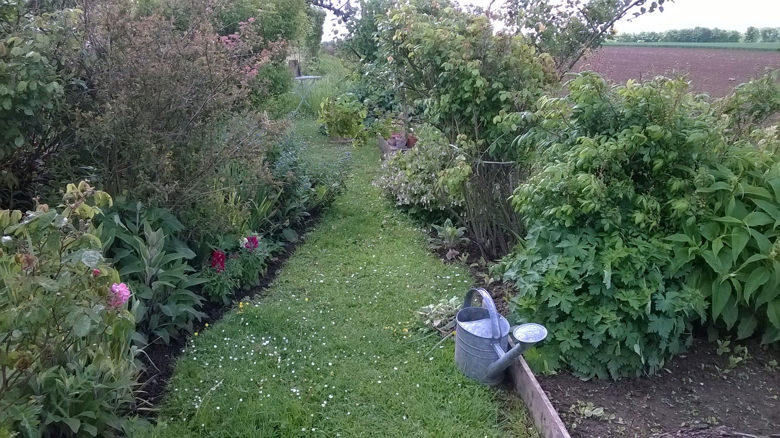 Habitaciones De Huéspedes Hautot-l'Auvray 161048