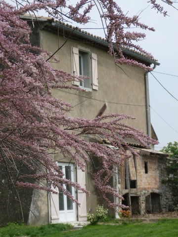 Tutta La Casa Privas 48158