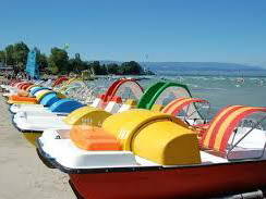 Chambre D'hôte Excenevex 70363-8