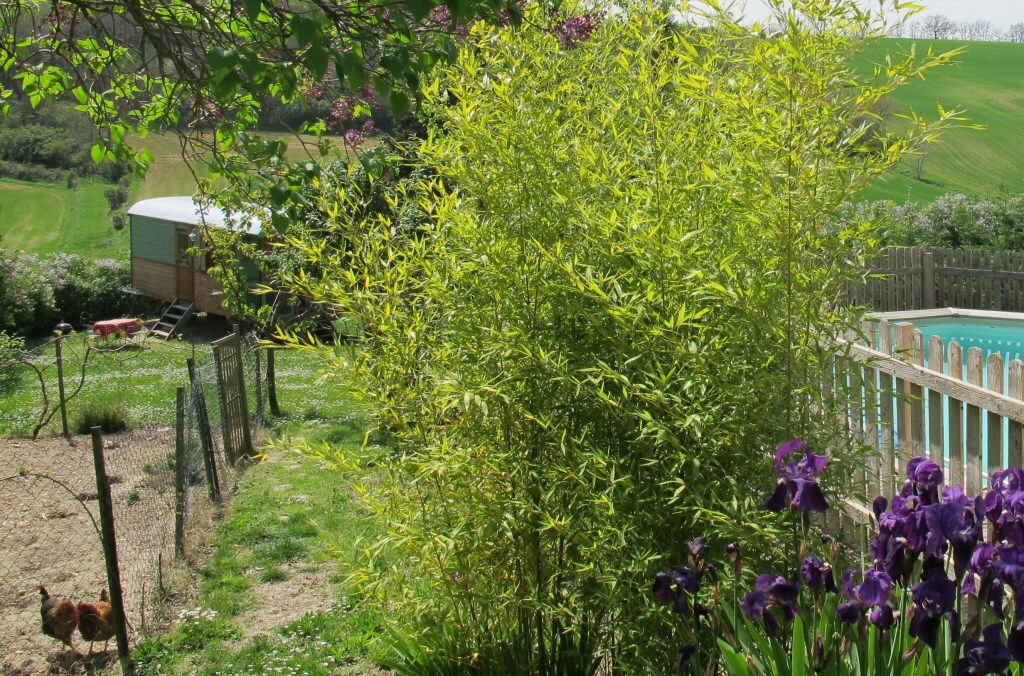 Gästrum Montmaur 86049