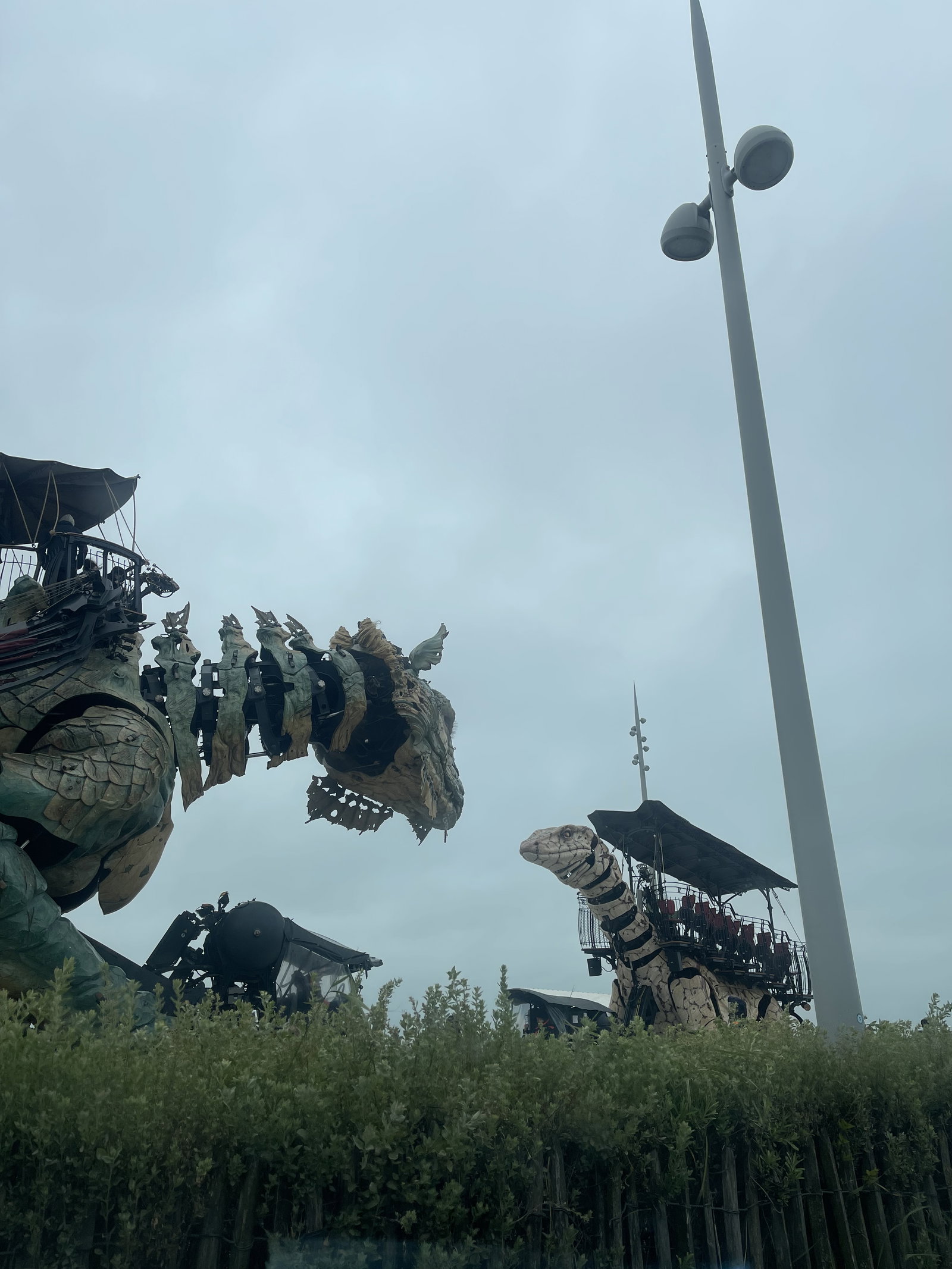 Quedarse En Casa Les Attaques 663475