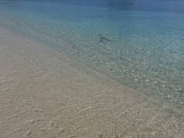 Bed And Breakfast St Georges 112936-7