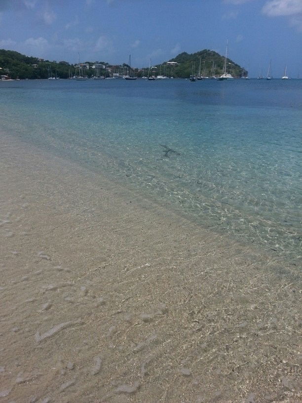 Gästezimmer St Georges 112936