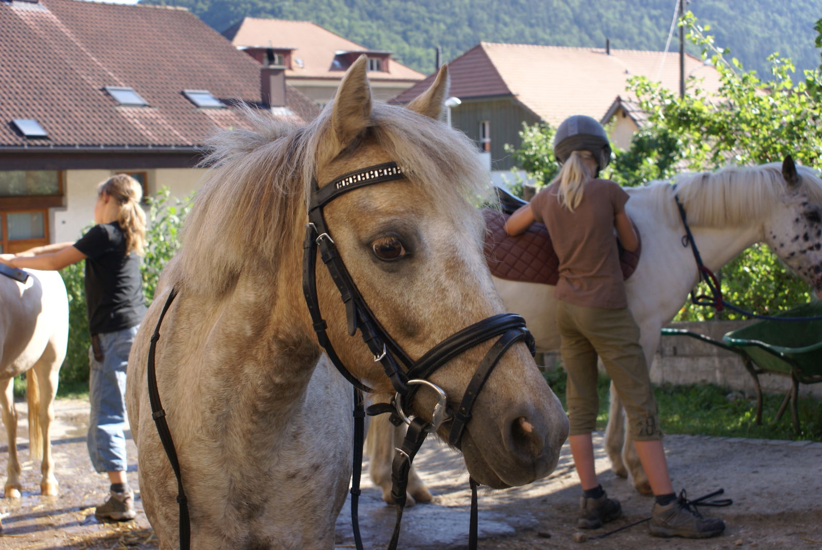 Bed And Breakfast Péry 67693