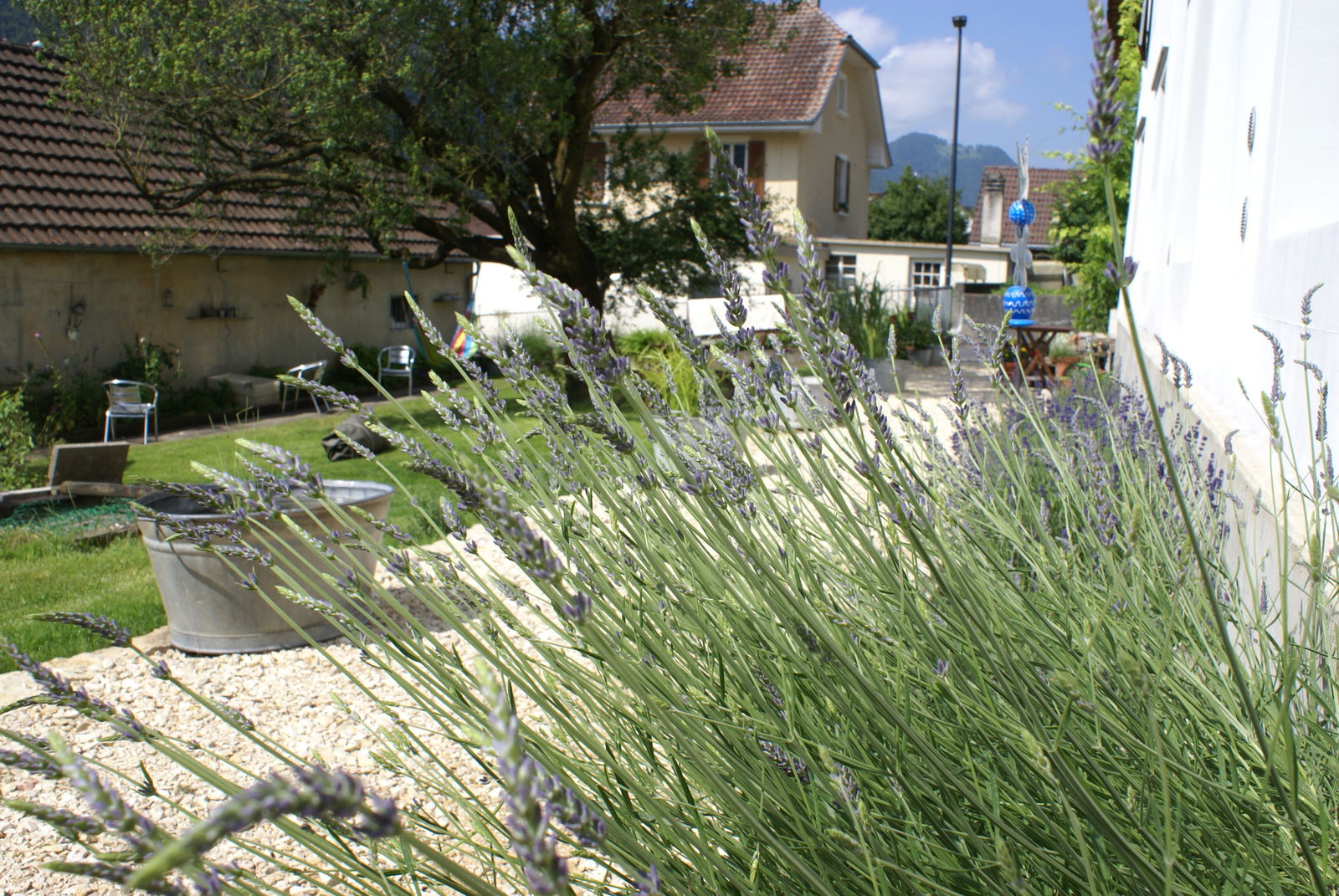 Gästrum Péry 67693
