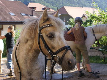 Chambre D'hôte Péry 67693-8
