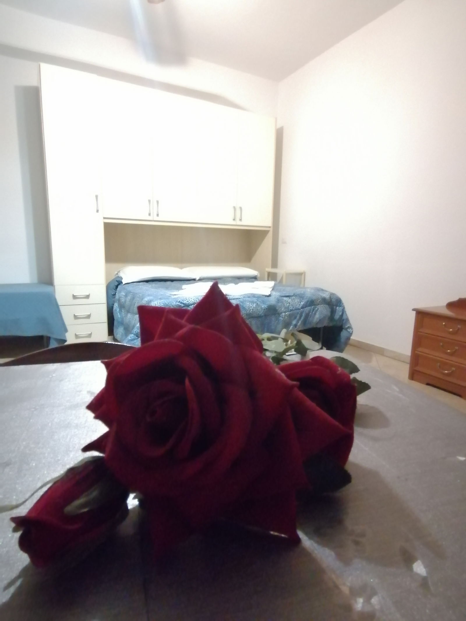 Studio Indépendant Carpi 264536