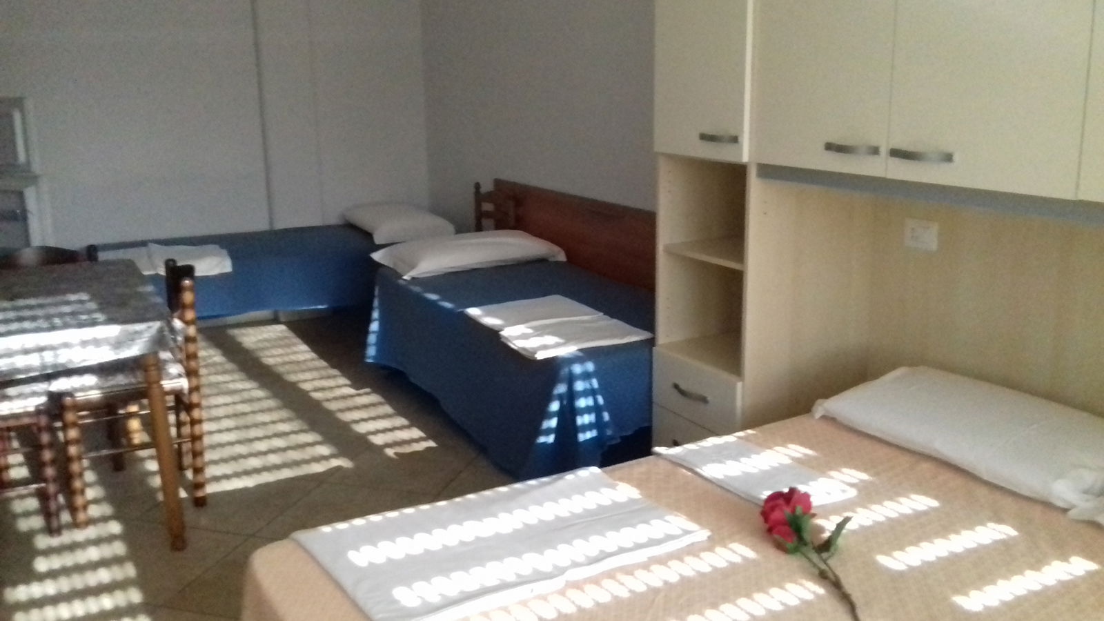 Estudio Independiente Carpi 194256