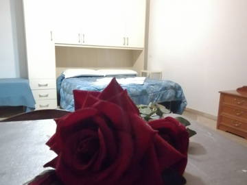 Logement Entier Carpi 264536-4