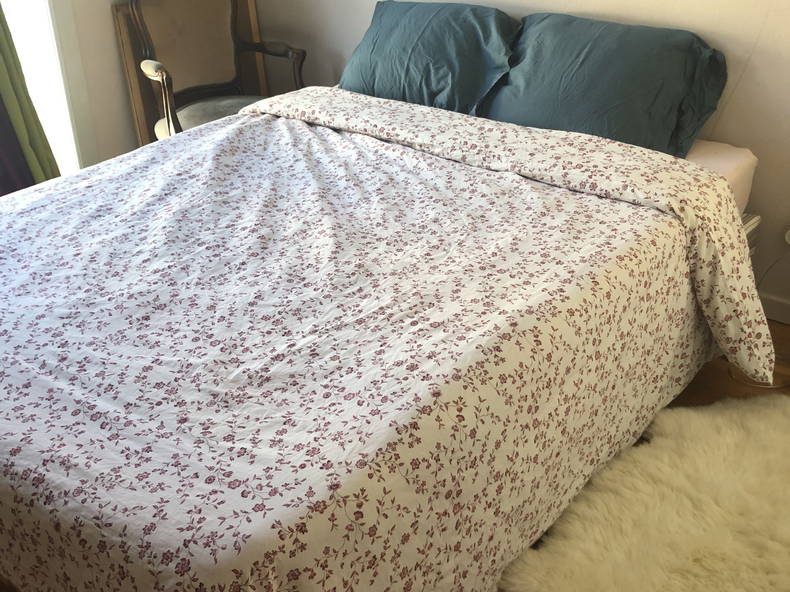 Ganzes Haus Villeurbanne 233126-1