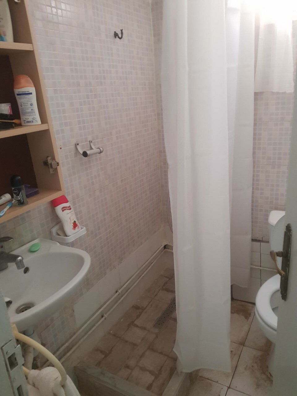 Independent Studio Site archéologique de Carthage 259714