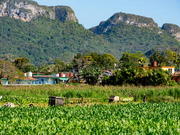 Logement Entier Viñales 266221-20