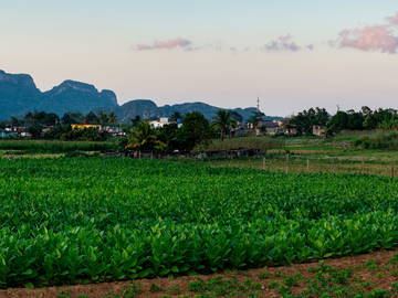 Logement Entier Viñales 266221-23