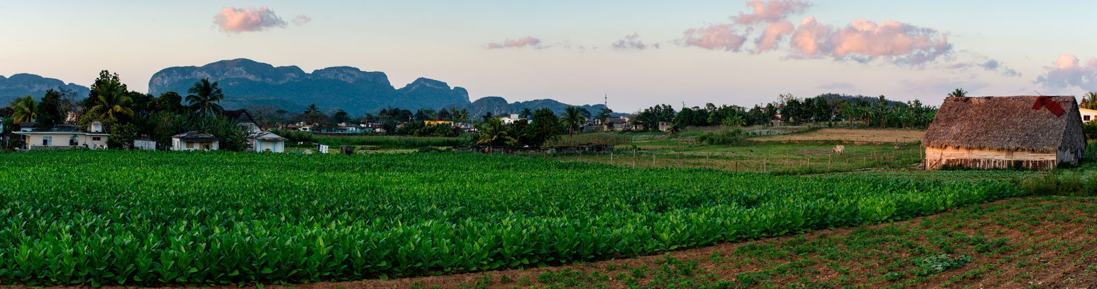 Quedarse En Casa Viñales 266220