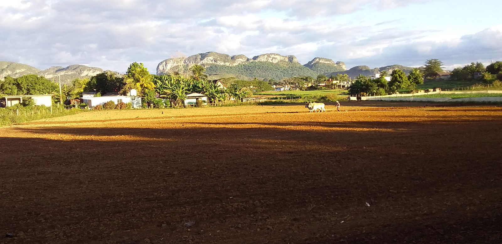 Quedarse En Casa Viñales 266220