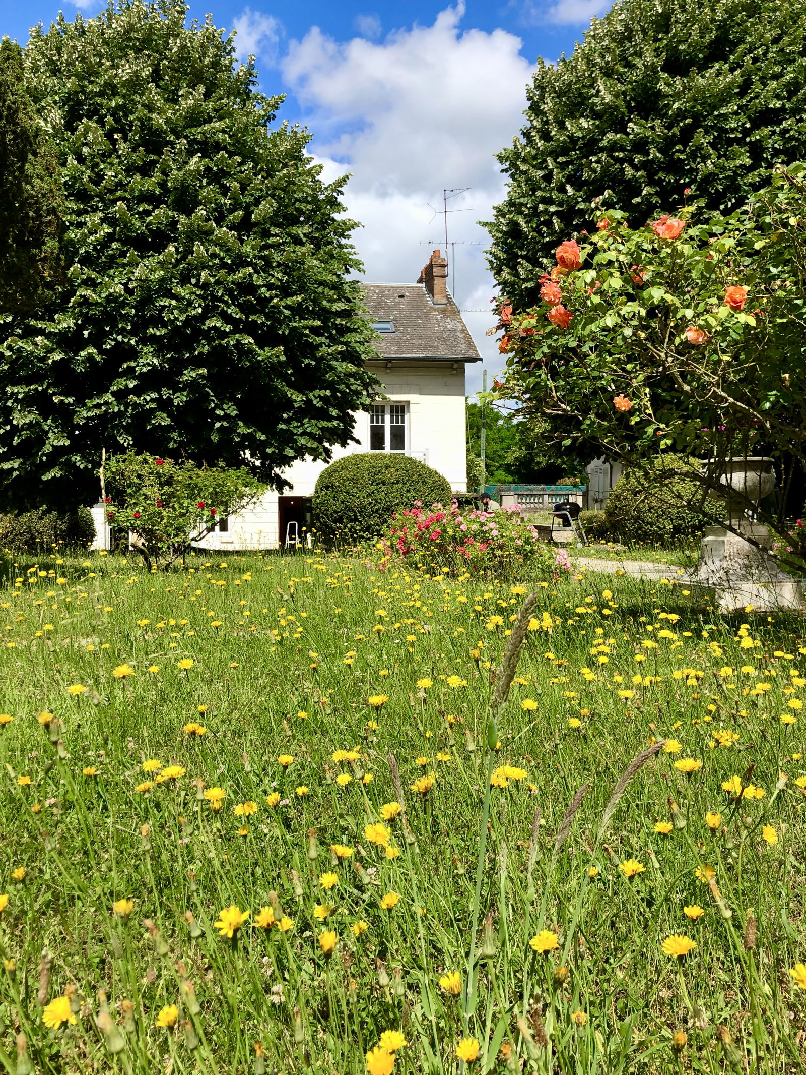 Tutta La Casa Orsay 263742