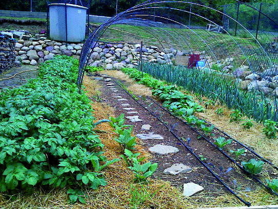 Bed And Breakfast Castiello de Jaca 95447-5