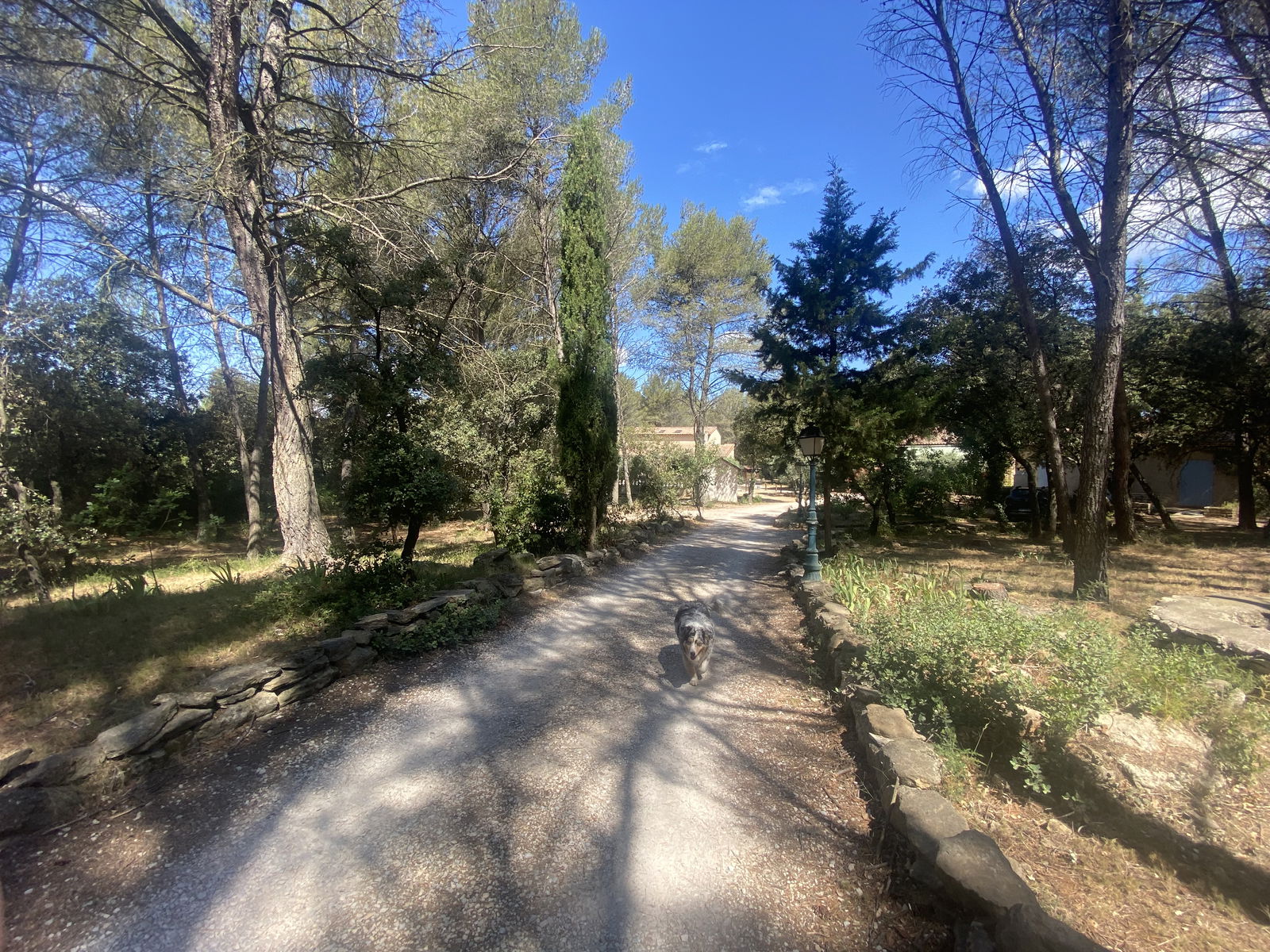 Tutta La Casa Grans 44114