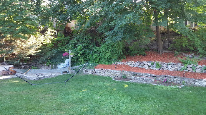 Hospedagem Em Casa De Família Lynn 143176