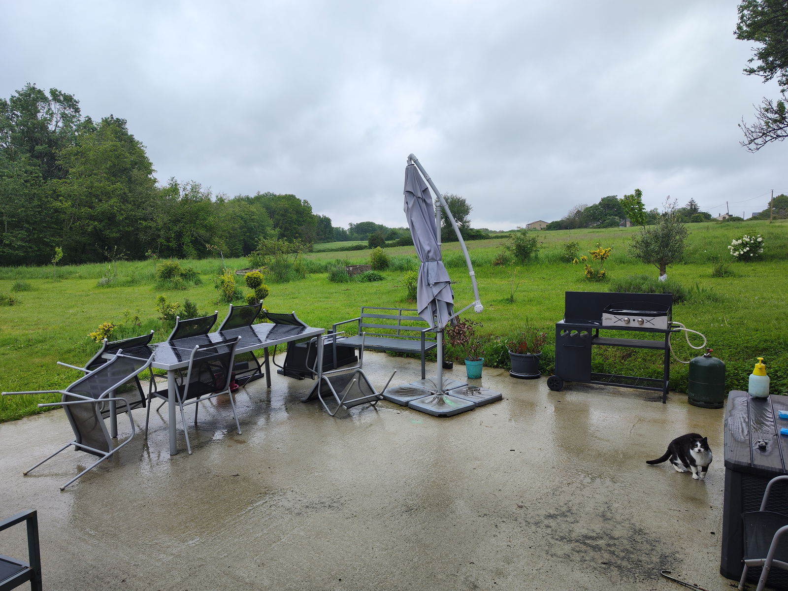 Collocazione Nouzilly 182314