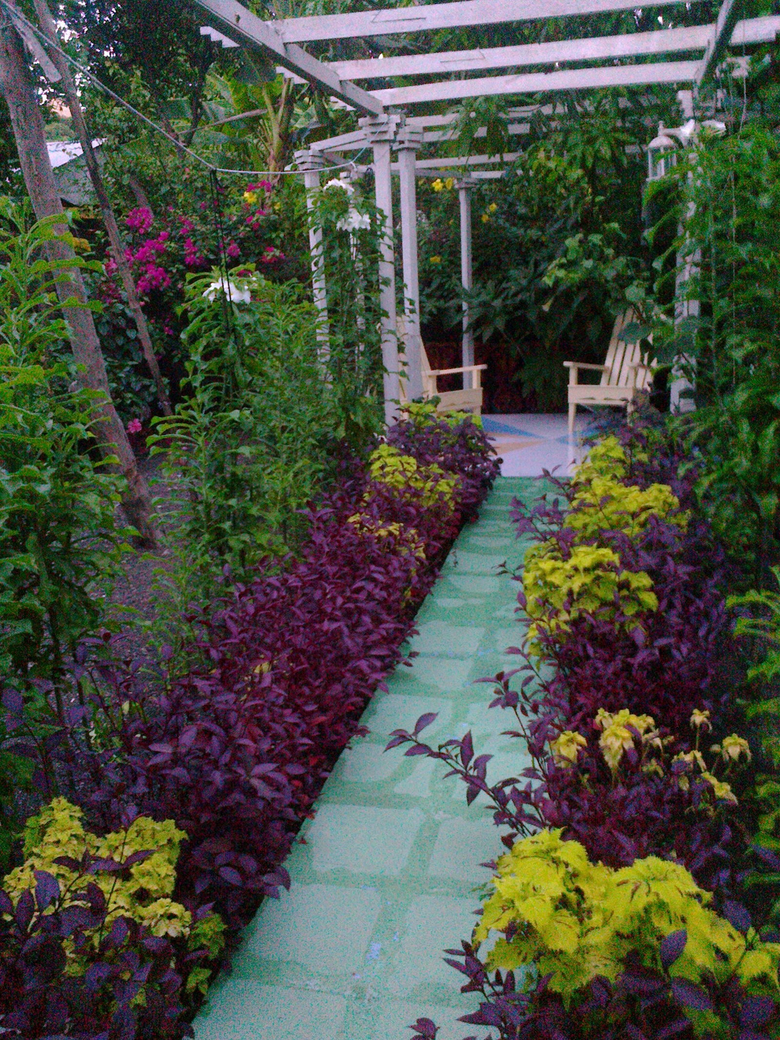 Famiglia Baracoa 134037