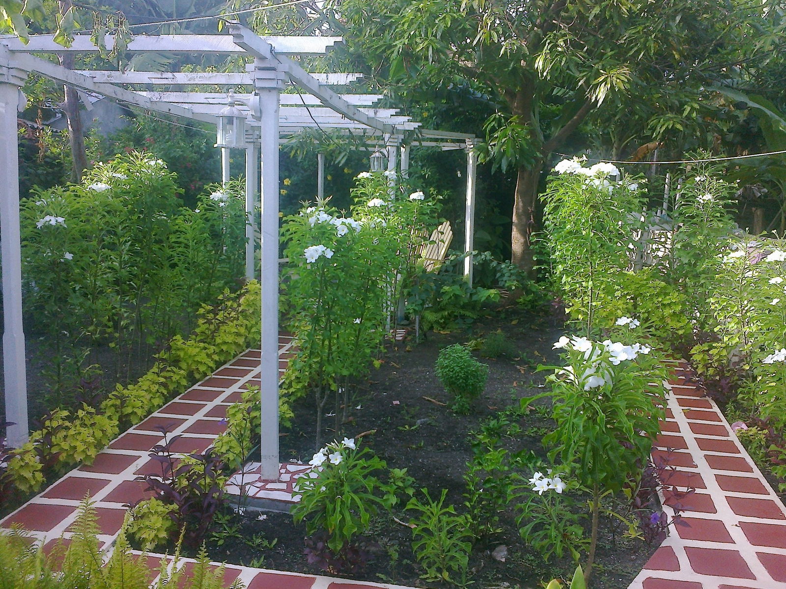 Famiglia Baracoa 134037