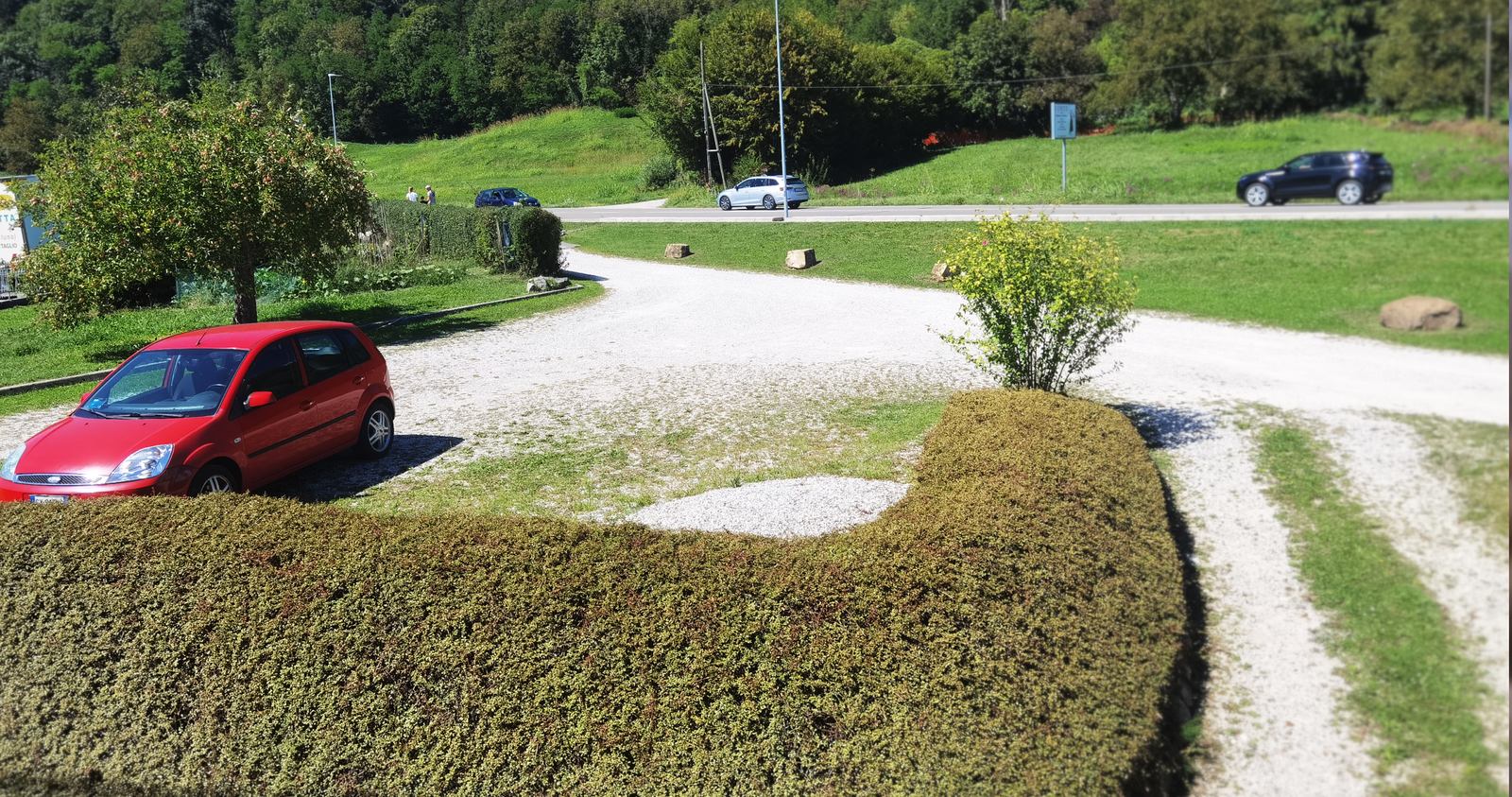 Colocación Sedico 265050