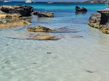 Logement Entier Favignana 490483-7