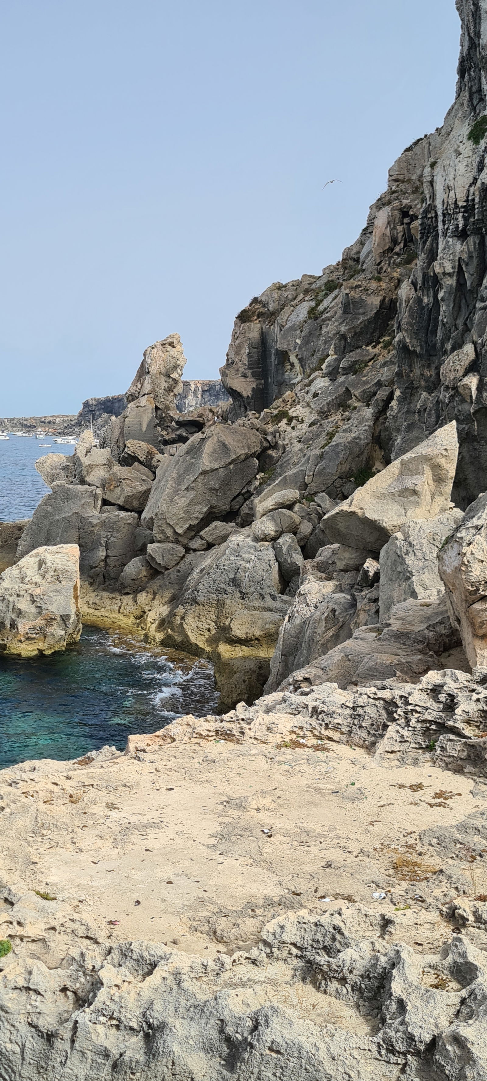 Estudio Independiente Favignana 490483