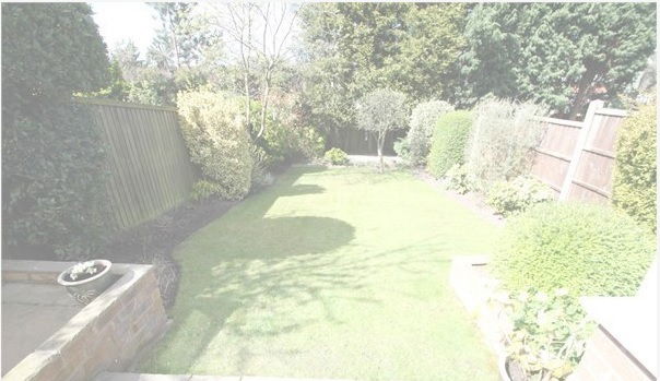 Famiglia Arnold 148649