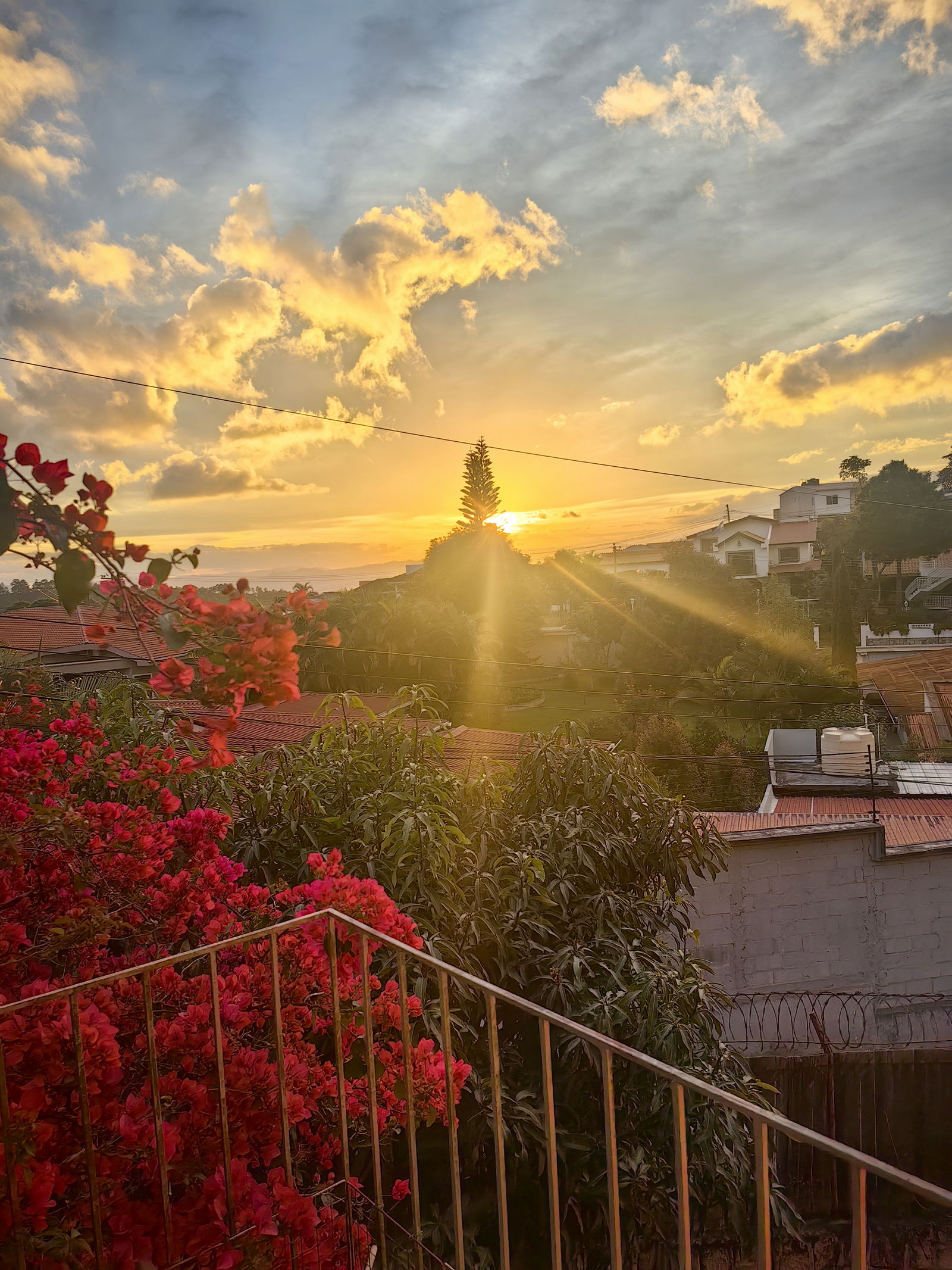 Collocazione TGU 249207