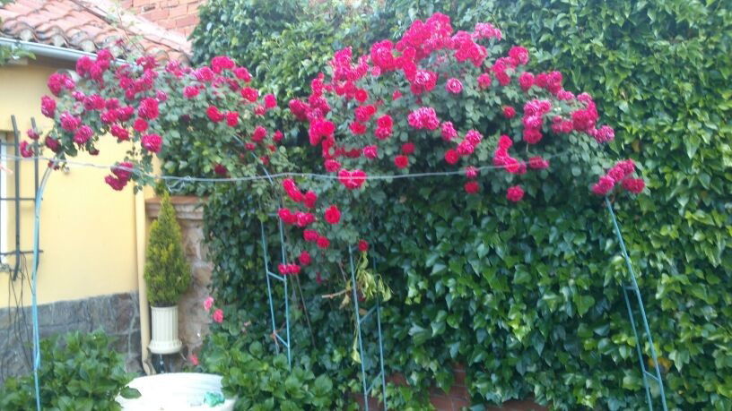 Tutta La Casa Vegas del Condado 127640