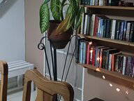 Chambre Chez L'habitant La Habana 332814-4