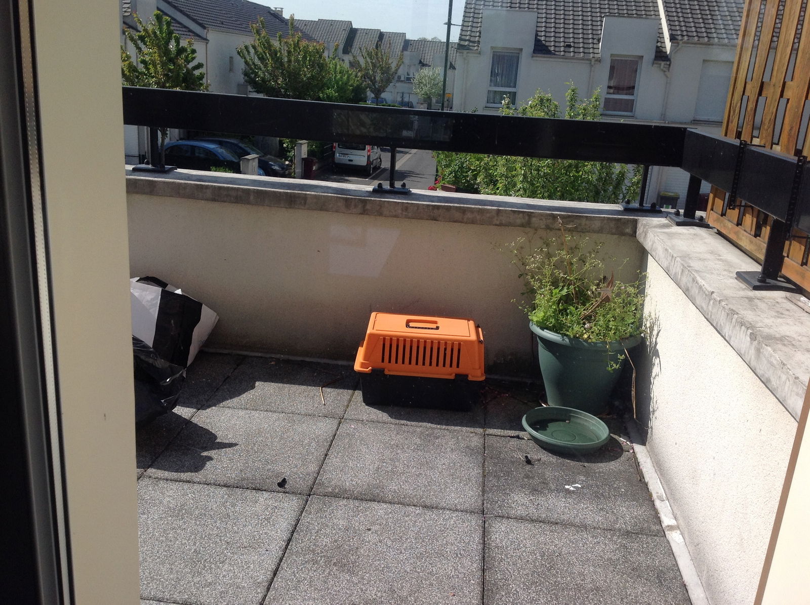 Colocación Chelles 110731