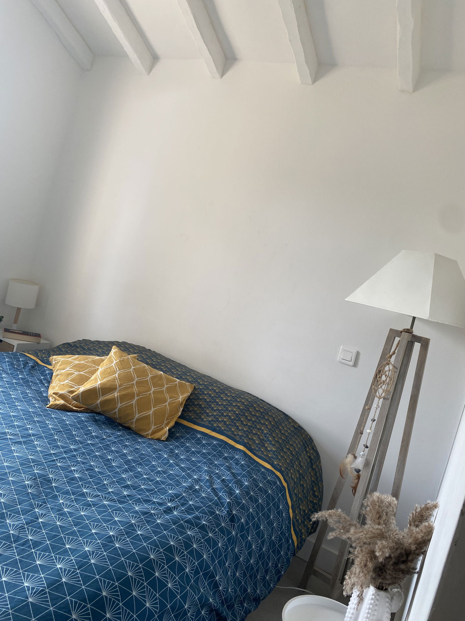 Famiglia Sainte-Maxime 365581