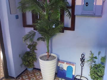 Chambre D'hôte Chechaouèn 220573-15