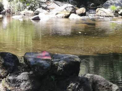 Logement Entier Taíde 141427-2