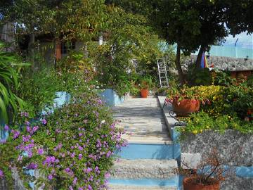 Logement Entier Taíde 141427-9