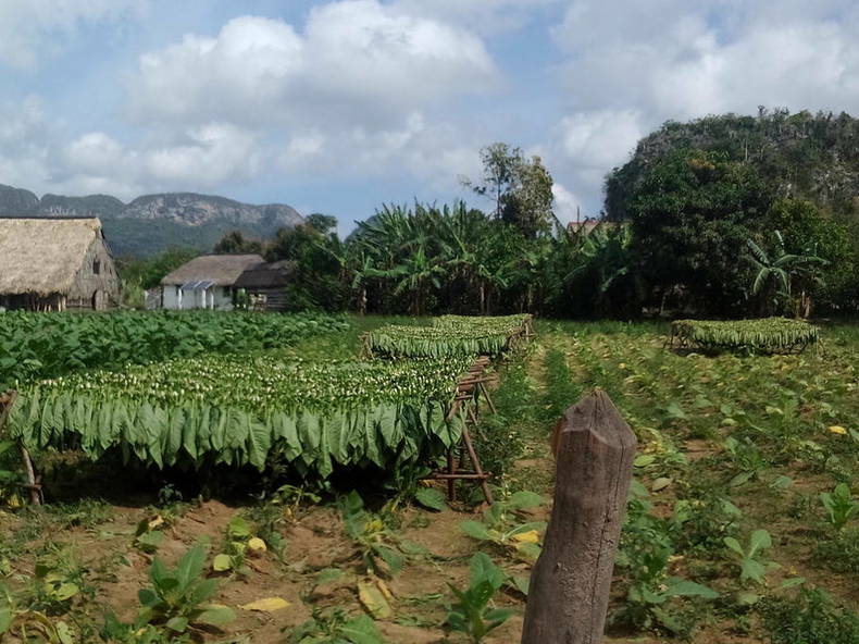 Quedarse En Casa Viñales 188378-4