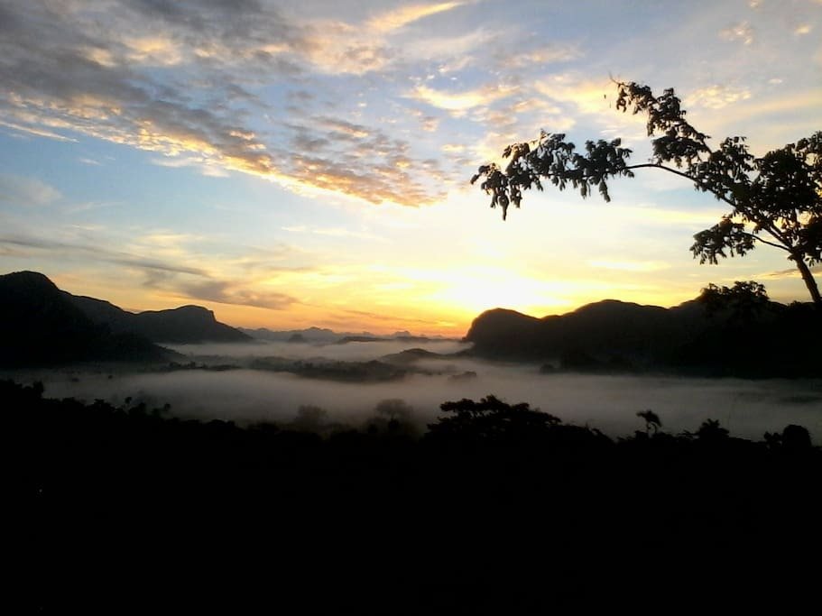 Homestay Viñales 188378
