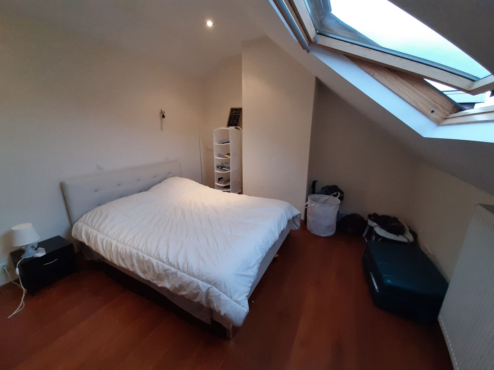 Quedarse En Casa Forest 234200