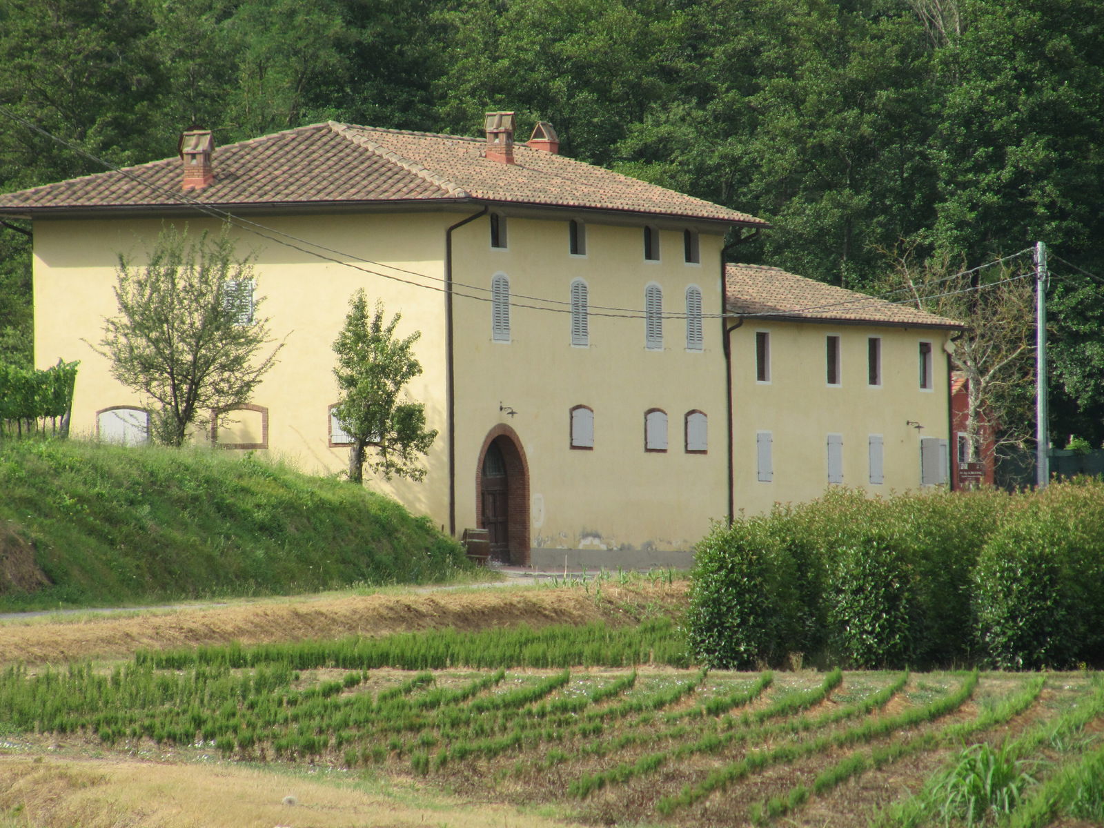 Estudio Independiente Stazione Masotti 142109